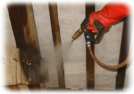 Traitement de termites Coltainville 28300 Eure-et-Loir Traitement de termites Coltainville 28300 Eure-et-Loir
