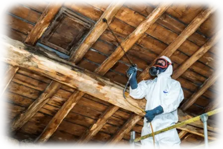 Traitement de termites Coltainville 28300 Eure-et-Loir Traitement de termites Coltainville 28300 Eure-et-Loir