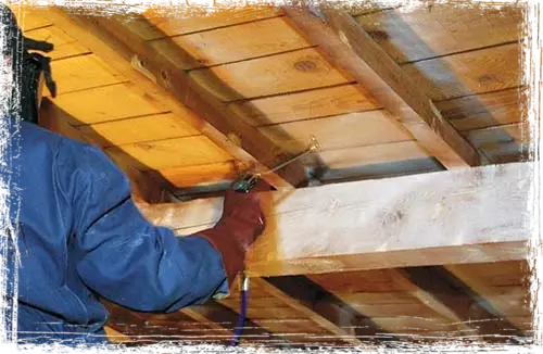 Traitement termites toiture Coltainville en Eure-et-Loir Traitement termites toiture Coltainville en Eure-et-Loir